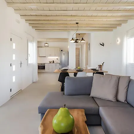 Ocean View Villa Mykonos Town